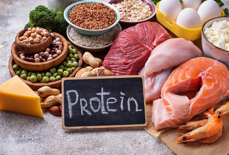 ăn thức ăn giàu protein