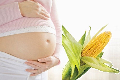 bắp hữu ích cho phụ nữ có thai
