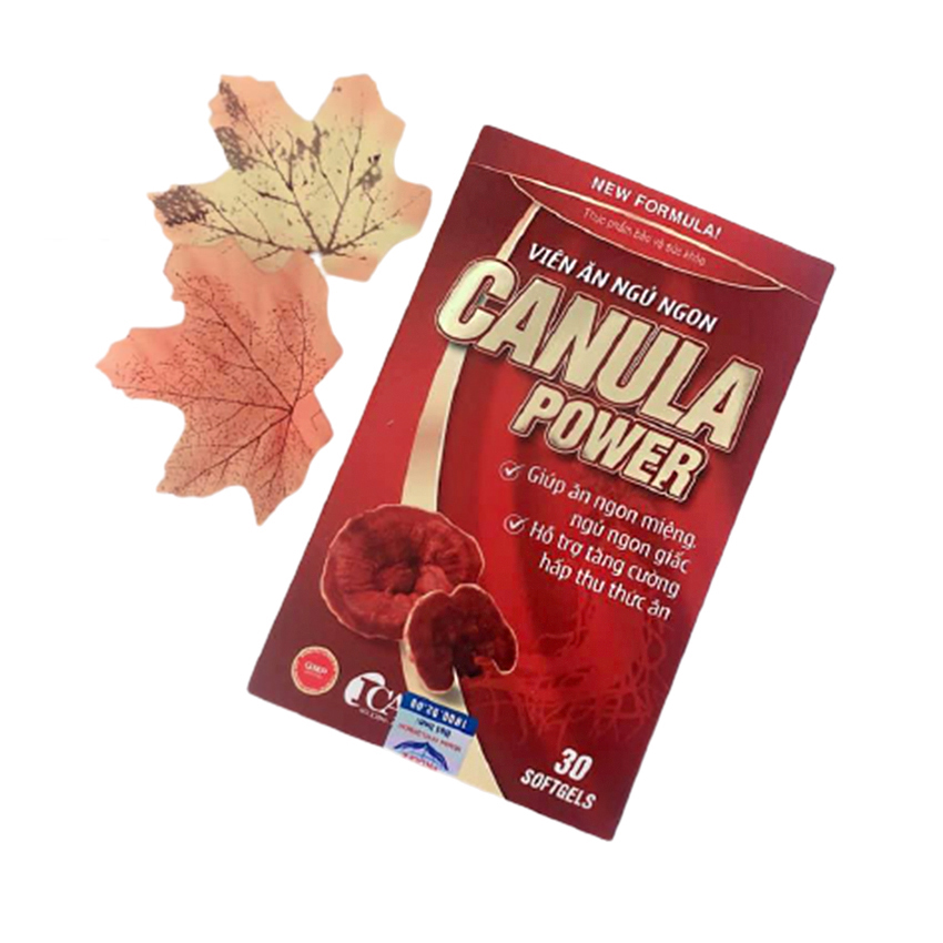 cherry spa thành phần Canula Power