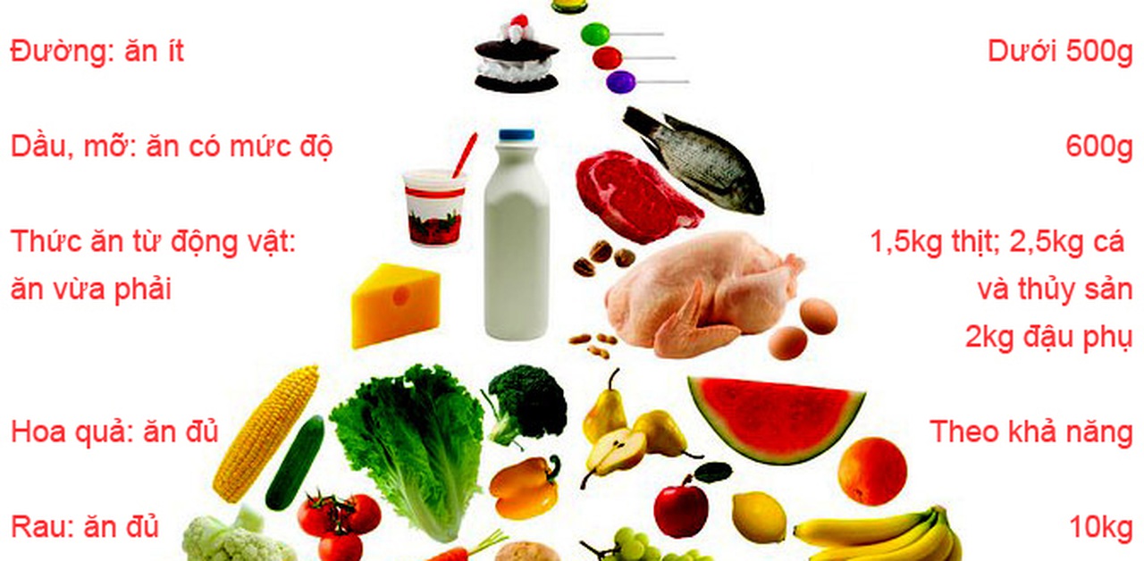 kim tự tháp thực phẩm theo quy định của FDA