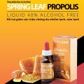 Spring Leaf Propolis Liquid 40% hỗ trợ giảm các triệu chứng do nhiễm lạnh và cảm lạnh